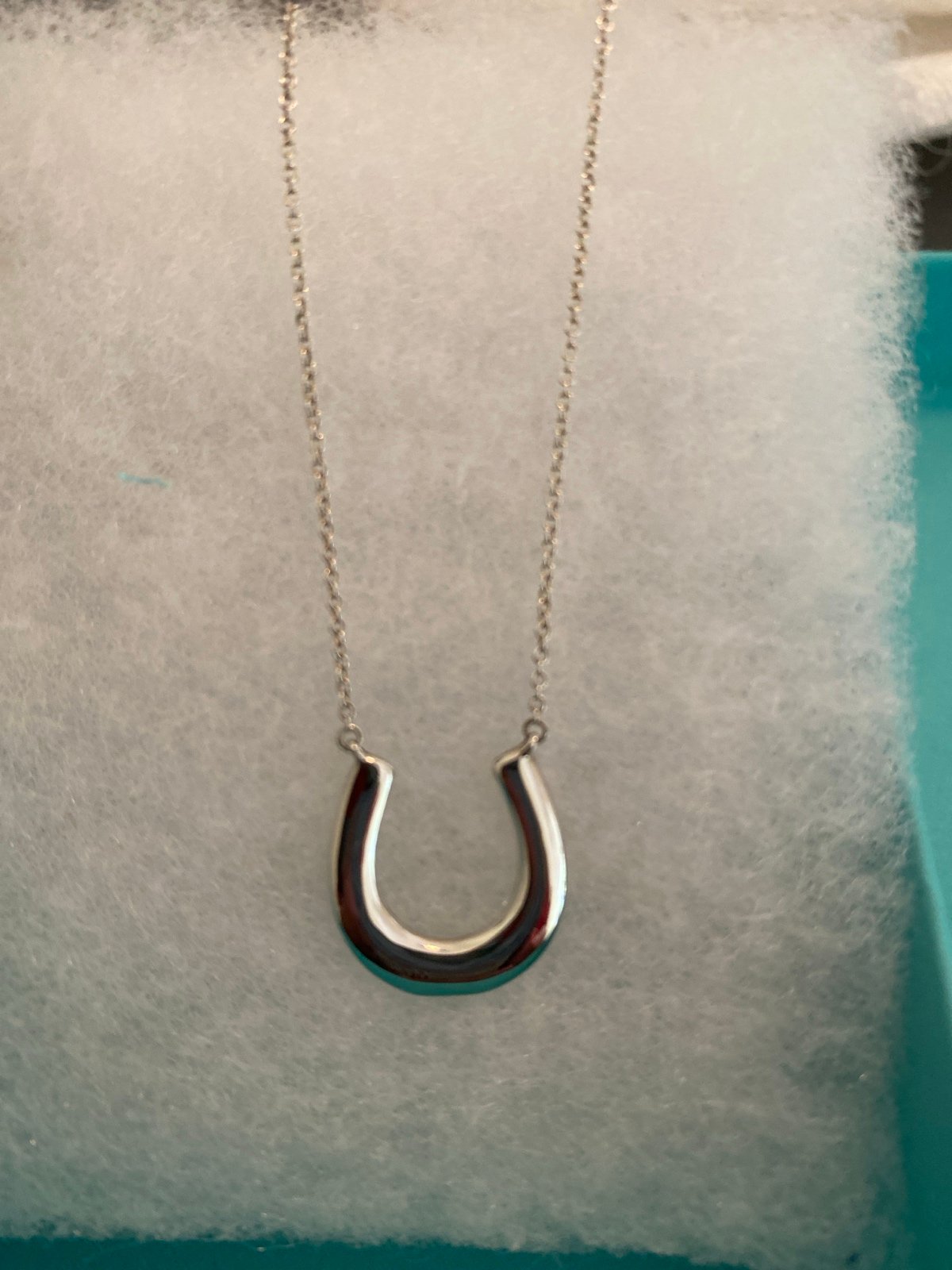 Tiffany & Co Horseshoe Necklace