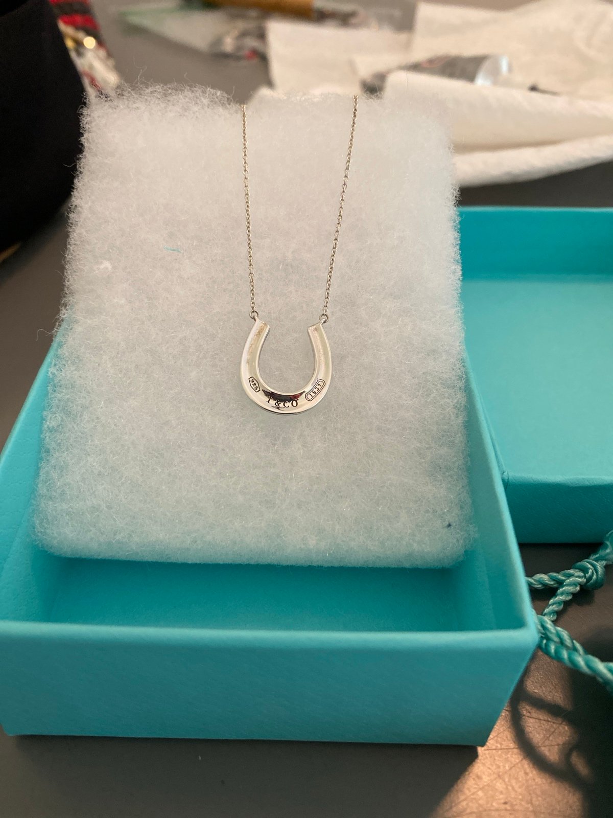 Tiffany & Co Horseshoe Necklace