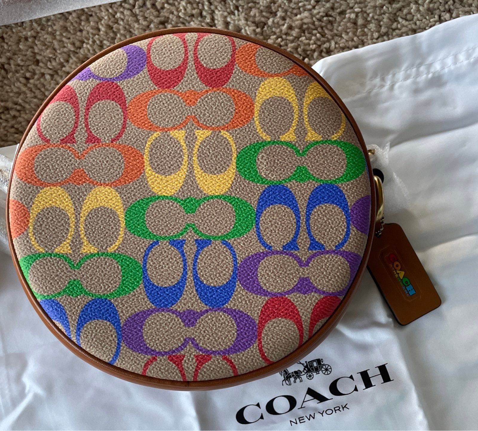 Coach Circle Crossbody In Rainbow shops Signature Canvas