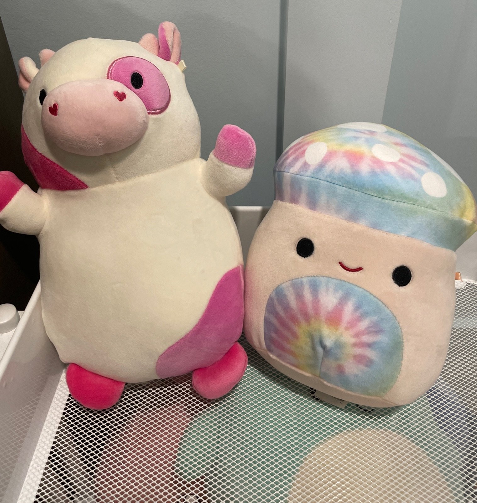 benny squishmallow mercari