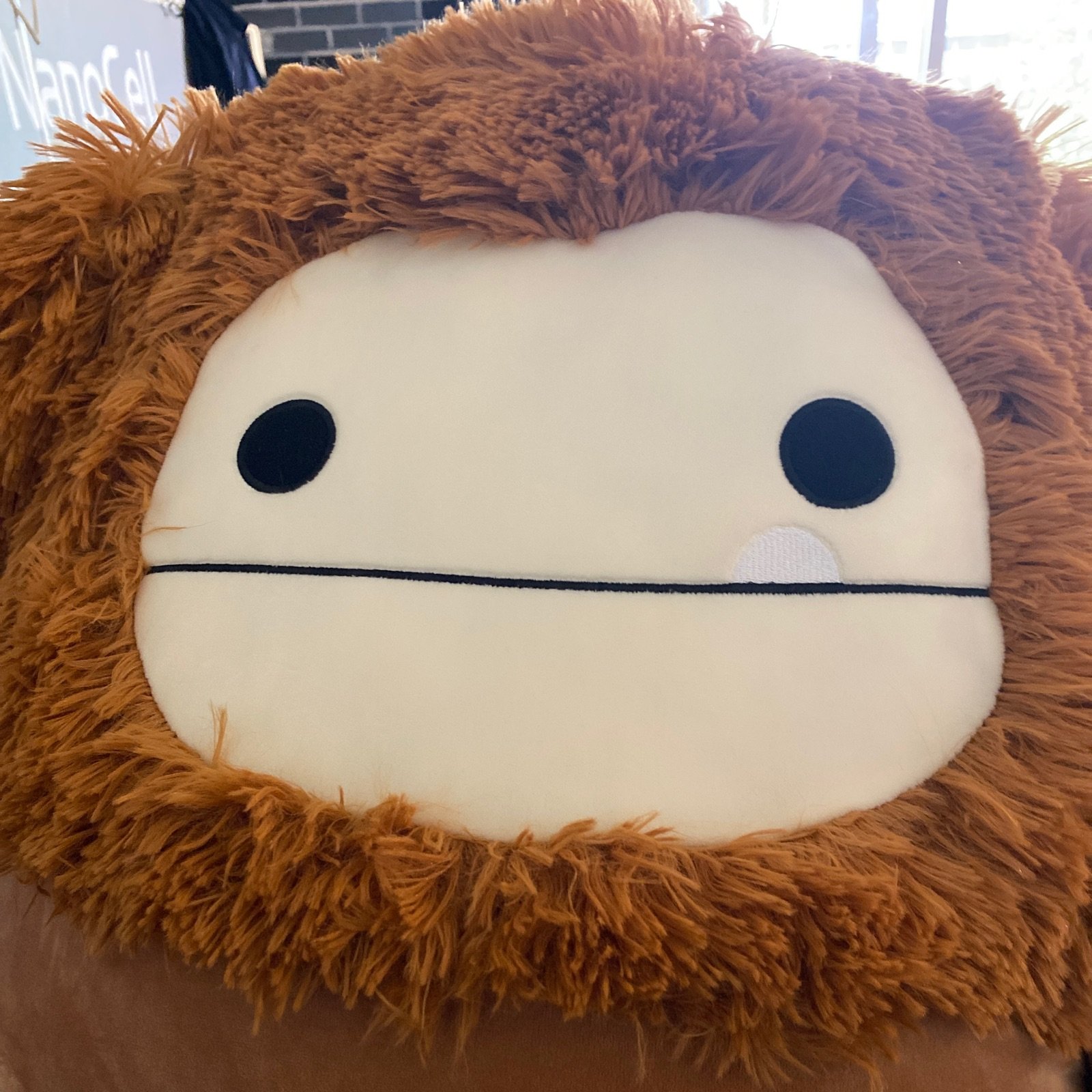 benny squishmallow mercari