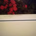 Greg Olsen Delicate Balance Hand Signed Limited Edition Lithographic Print