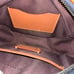 coach leather camera bag crossbody