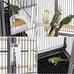 Bird Cage 54-inch Wrought Iron Standing Large Parrot Parakeet with Stand