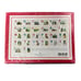 Cavallini & CO Lot of 3 New Stickers ABC Flash cards Stamps Birds Butterflies