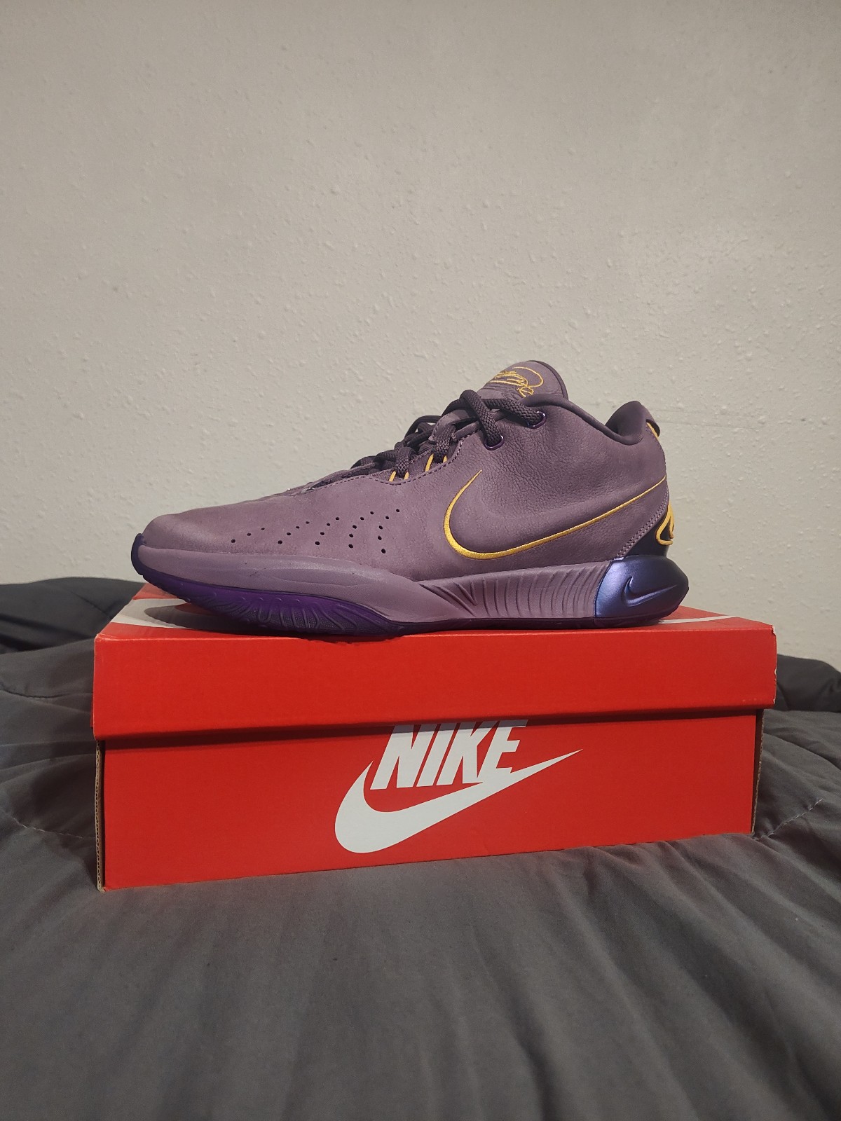 Nike LeBron 21 size 10.5