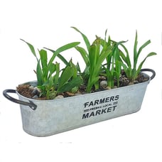 1pc Iron Oval Retro Flower Pot, Planting Pot With Drainage Hole