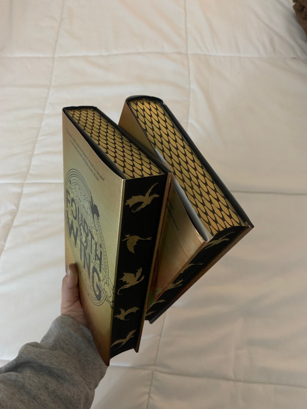 Fourth Wing & Iron Flame (DUO w/ scales)