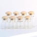 24 Pcs Mini Glass Bottle 1:12 Scale Glass Jars Model with Cork Dollhouse Storag