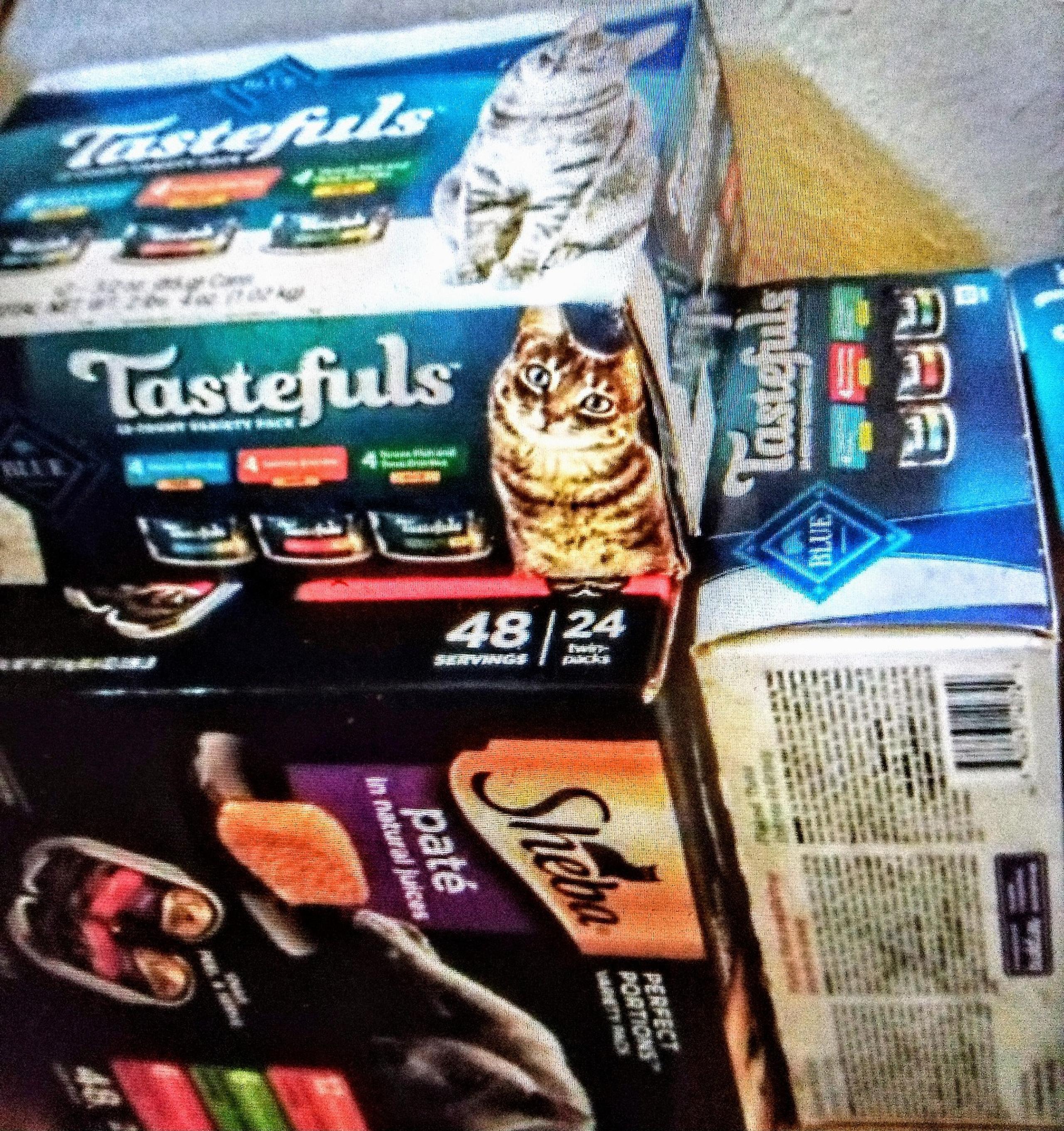 Tastefuls by Blue Buffalo Wet Cat Food & Sheeba Wet Cat Food