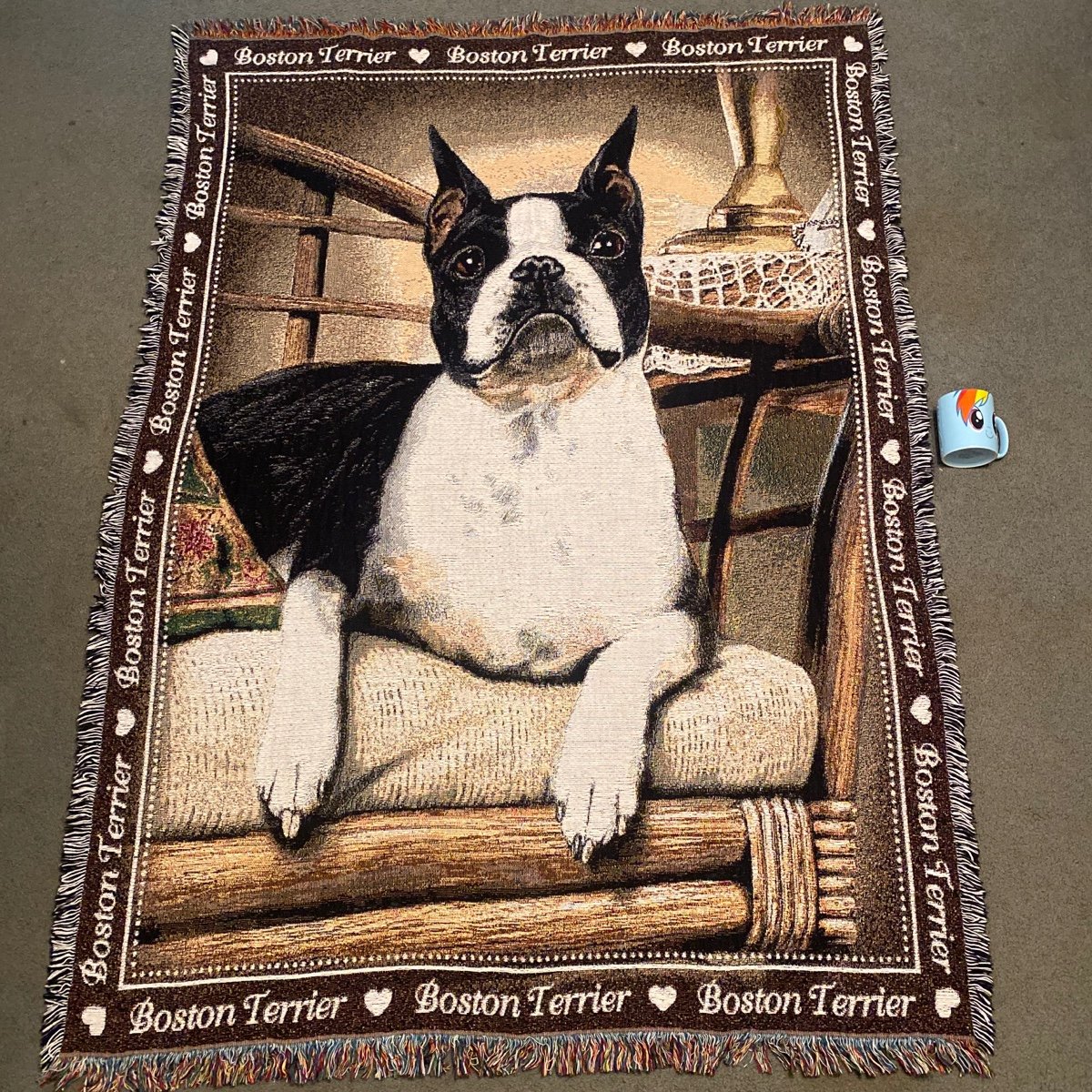 Boston Terrier Blanket Big 52” x 73” Fringed Nice!