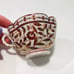 Antique Fischer & Mieg Royal Vienna Style Raspberry Floral Tea Cup Saucer