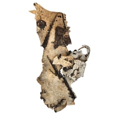 Birch Tree Bark Sheets For Craft & Decor, about 26 x 19 inches