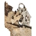 Birch Tree Bark Sheets For Craft & Decor, about 26 x 19 inches