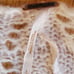 Free People Vintage Boho Sweater Tunic