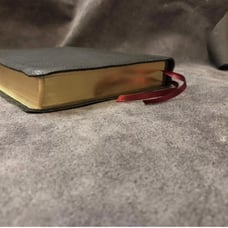 La Biblia de Las Américas New American Standard Bible NASB LBLA black Leather