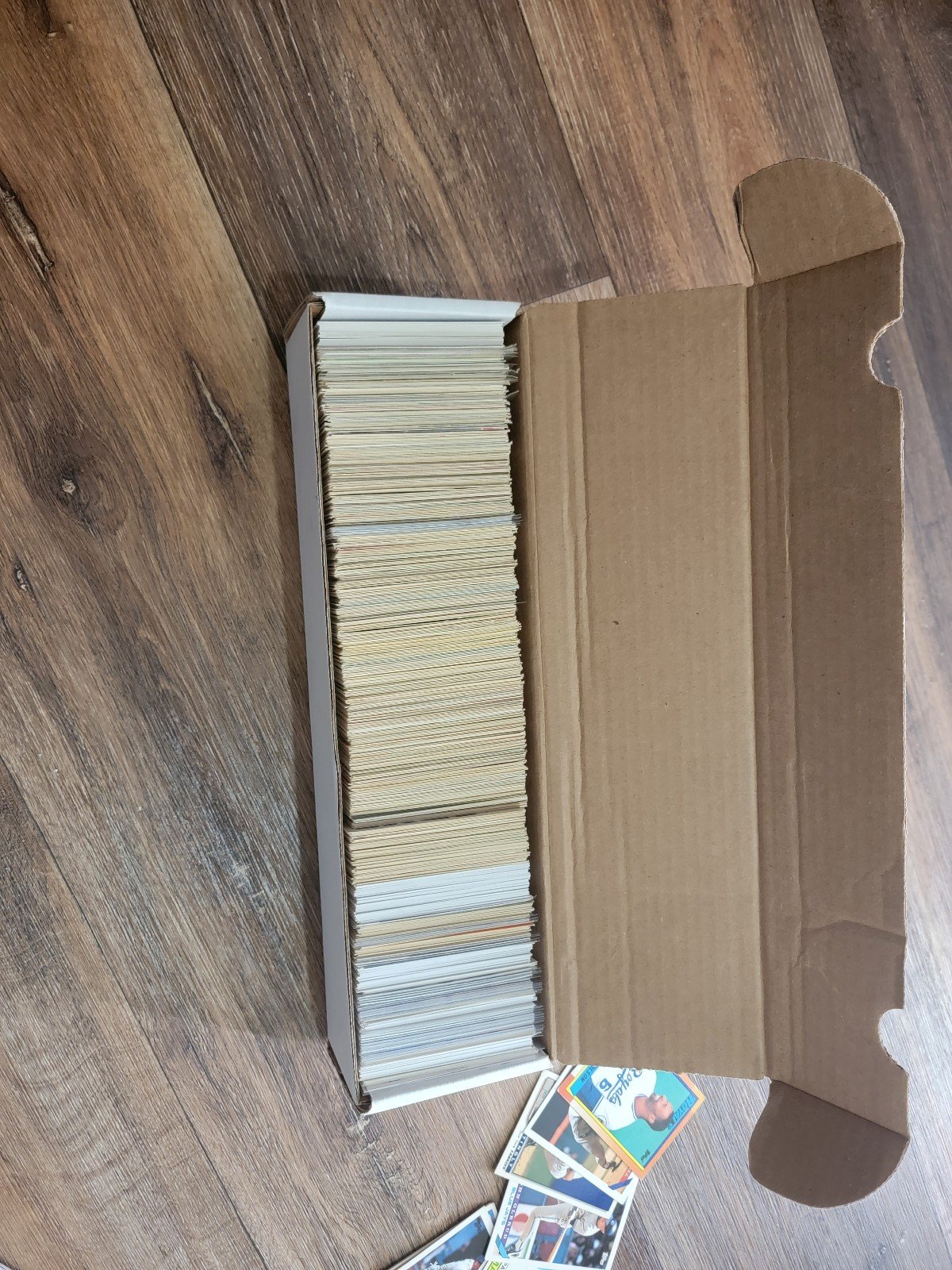 Large baseball lot
