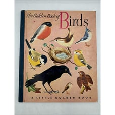 Little Golden Book Of Birds Vintage 1943 1st Print 1st Edition Blue Spine