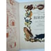 Little Golden Book Of Birds Vintage 1943 1st Print 1st Edition Blue Spine