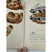Little Golden Book Of Birds Vintage 1943 1st Print 1st Edition Blue Spine