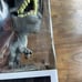 Funko POP Movies Jurassic World Park Fallen Kingdom Blue 10 inch 1077 Faded NEW