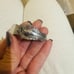 VINTAGE PAWN SILVER SPOON BRACELET AUTHENTIC SIGNED ONEIDA COMMUNITY