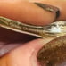 VINTAGE PAWN SILVER SPOON BRACELET AUTHENTIC SIGNED ONEIDA COMMUNITY