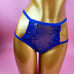 Blue lingerie set