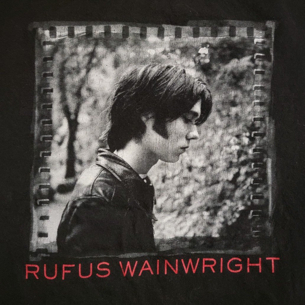 Vintage RUFUS WAINWRIGHT Poses Tour SHIRT Concert MERCH Music 2002 Out of Print