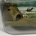 Uncle Milton Star Wars Science Dagobah Frog Terrarium Habitat 2009