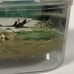 Uncle Milton Star Wars Science Dagobah Frog Terrarium Habitat 2009