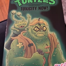 Neca teenage Mutant Ninja Turtles toxicity now