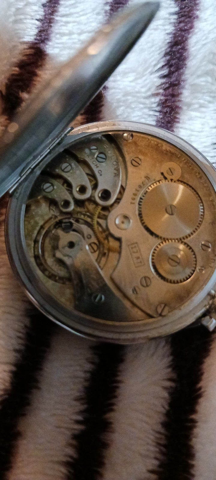 Store Bulova