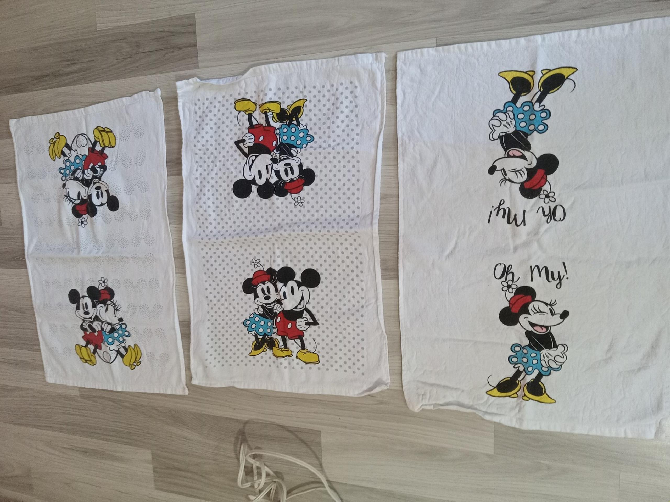 Mickey and minnie dish towels