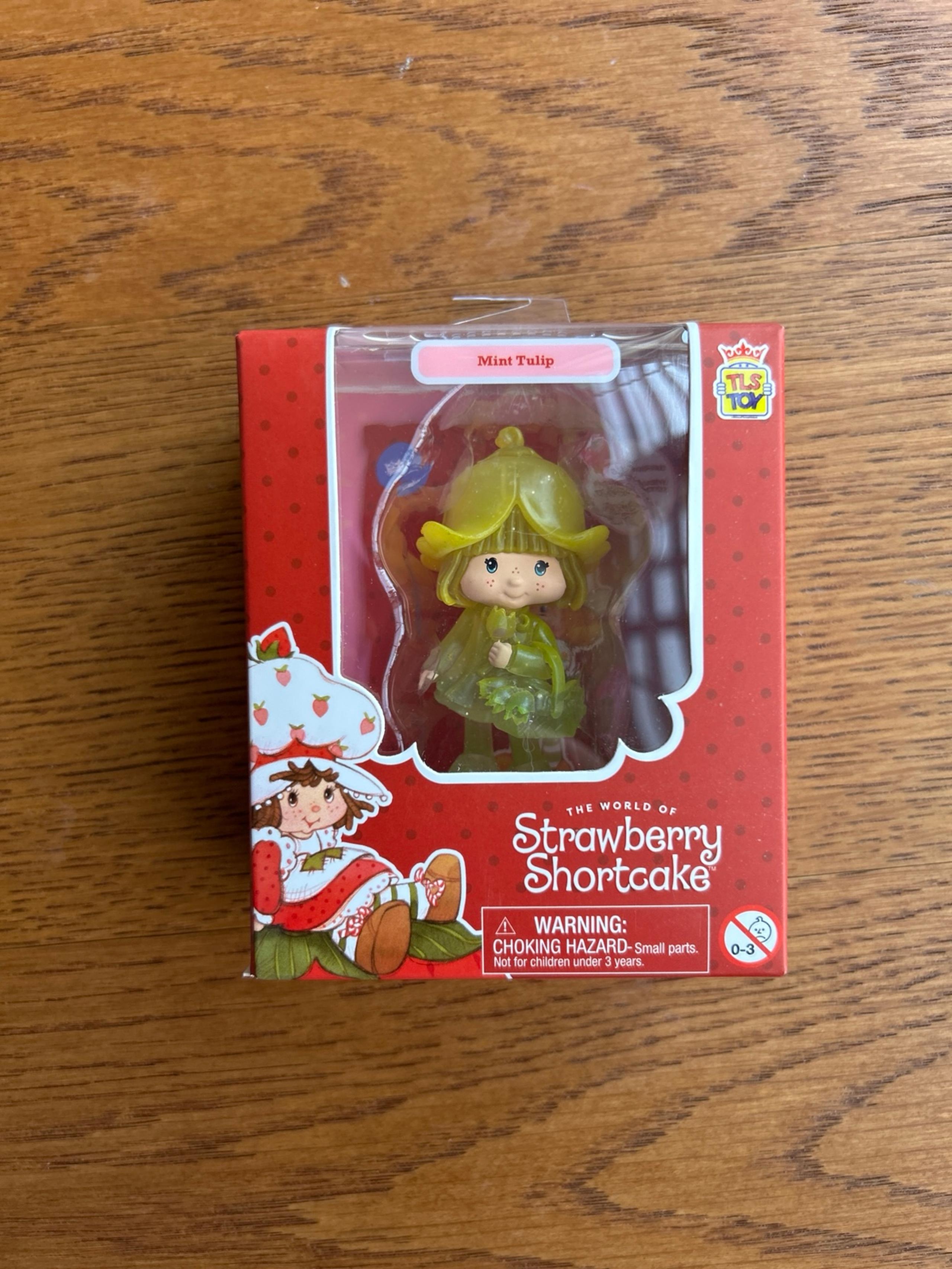 The loyal subjects strawberry shortcake mint tulip series 1 Chase figure