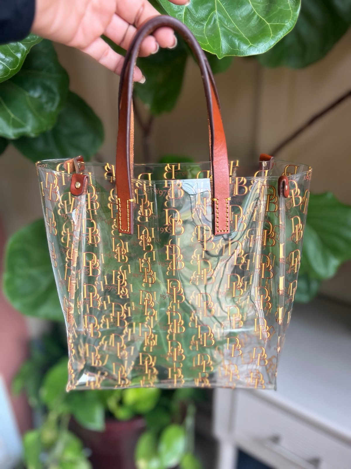 Louis Vuitton Clear Tote Bags Mercari
