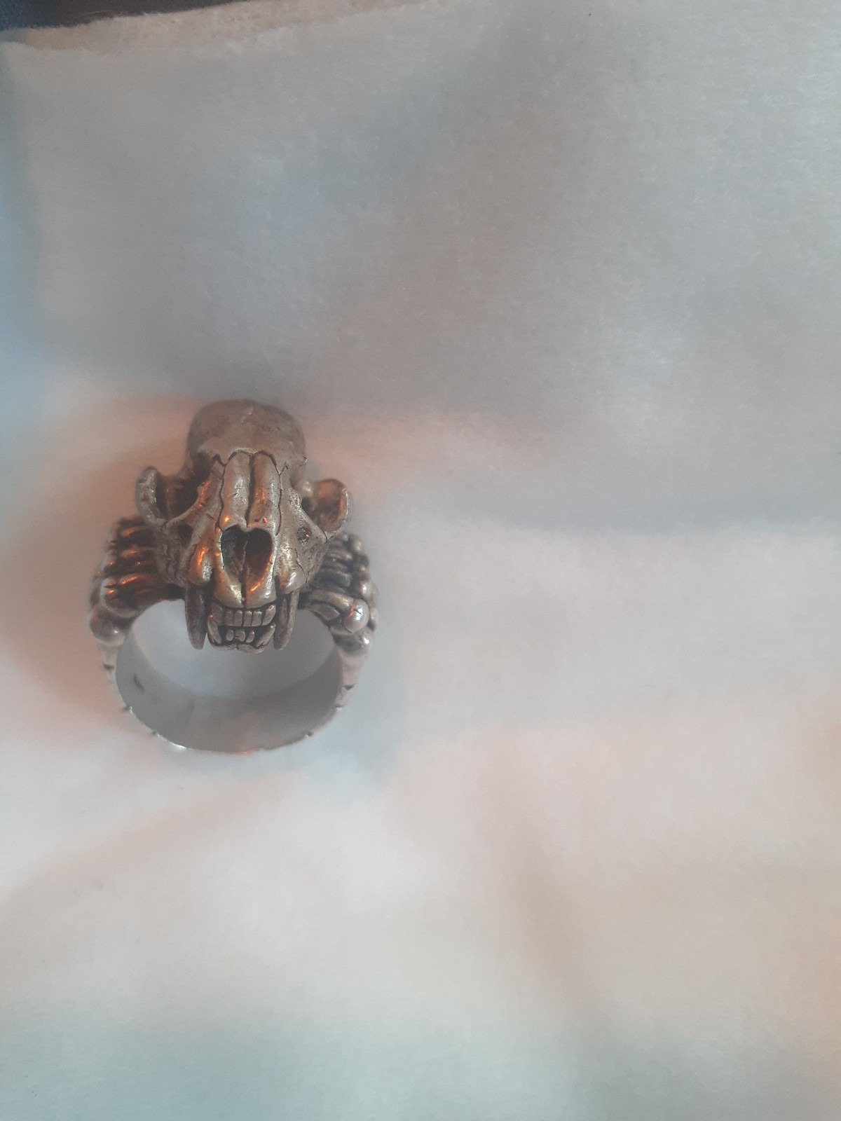 Bull terrier skull ring 925 Silver