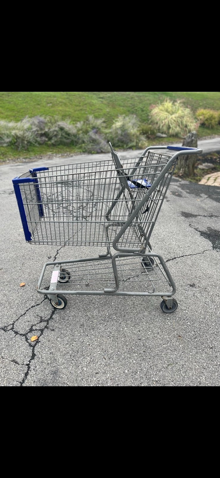 Grocery Cart. Real life size.