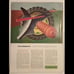 US News World Report Magazine May 6 1955 The Business Future Of America