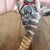 Bear Claw Rattle Snake Handmade Coral Turquoise