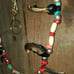 Bear Claw Rattle Snake Handmade Coral Turquoise
