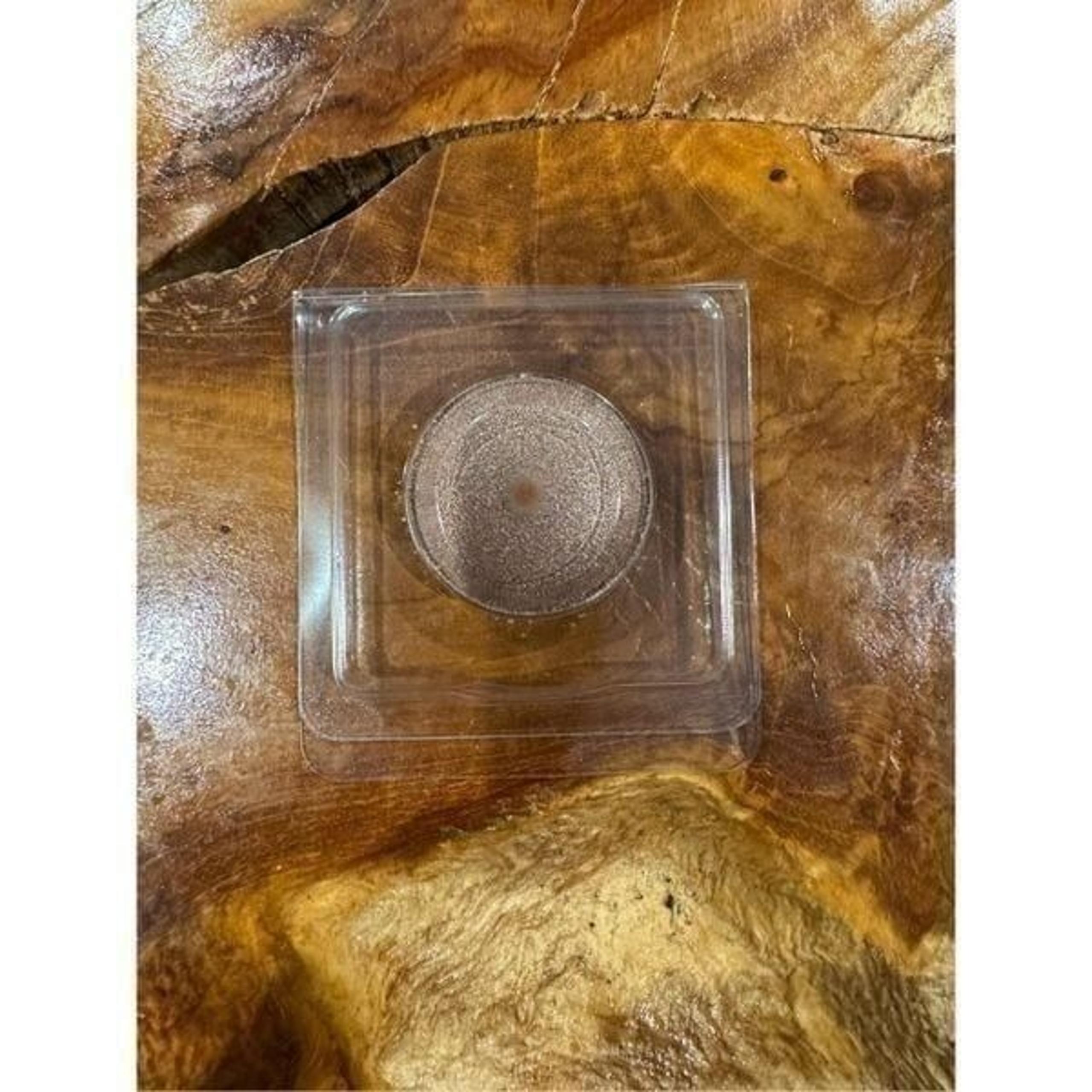 Chantecaille eye shadow refill in Riviera