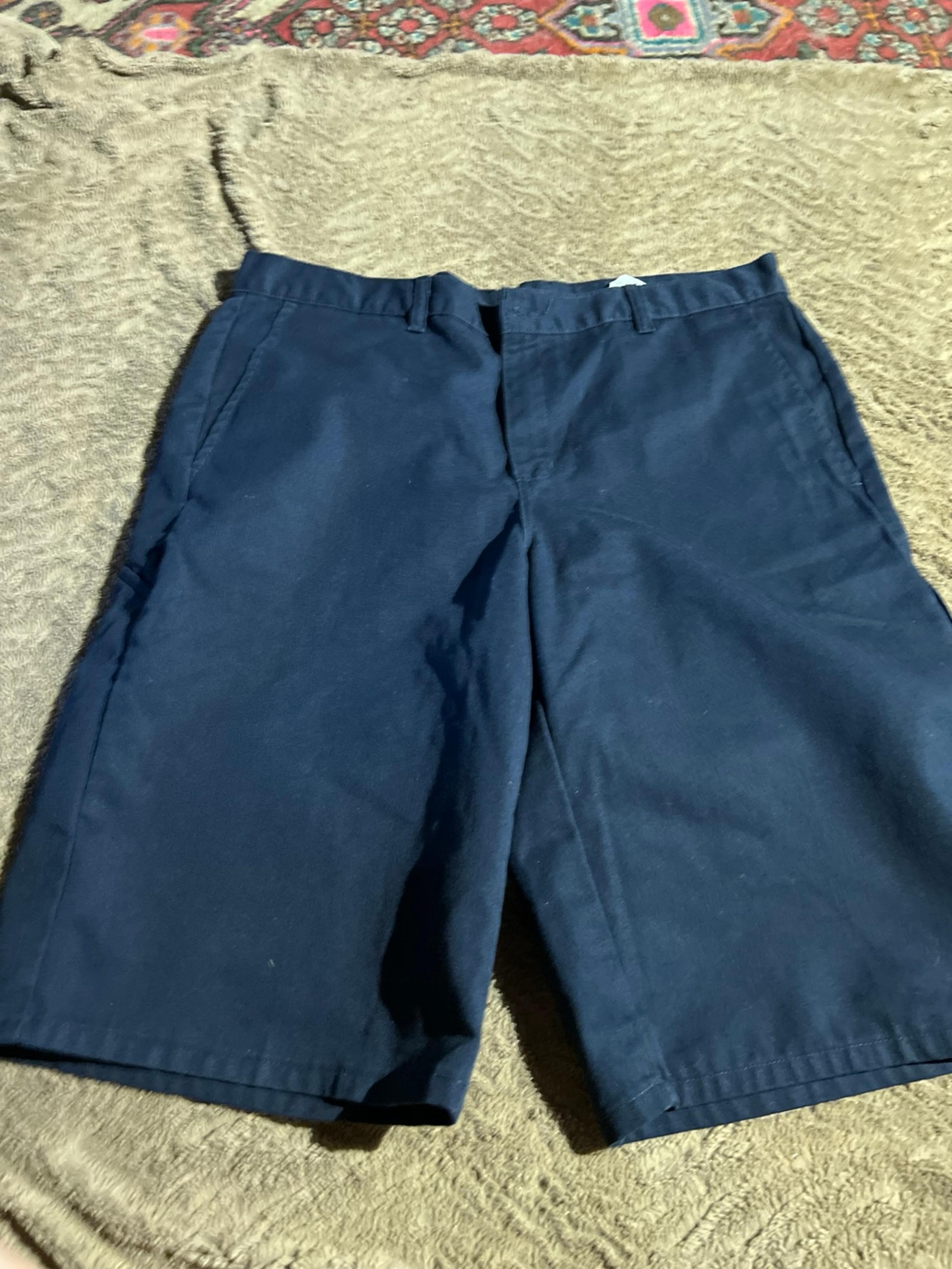 Dickies Size 34 Blue Work Shorts