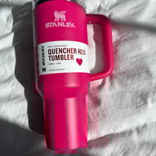 Stanley x Target Valentines 40oz Tumbler