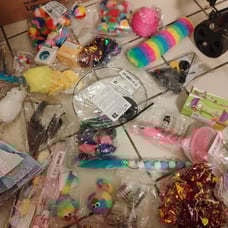 Cat Toys and brush