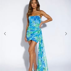 Runway The Label Zack’s Mini Dress