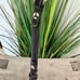 Coach Leather Signature Dog Leash