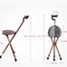 Folding cane seat