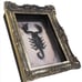 Goth Oddity 7” Taxidermy Scorpion Specimen in Gold Frame Shadow Box Home Decor