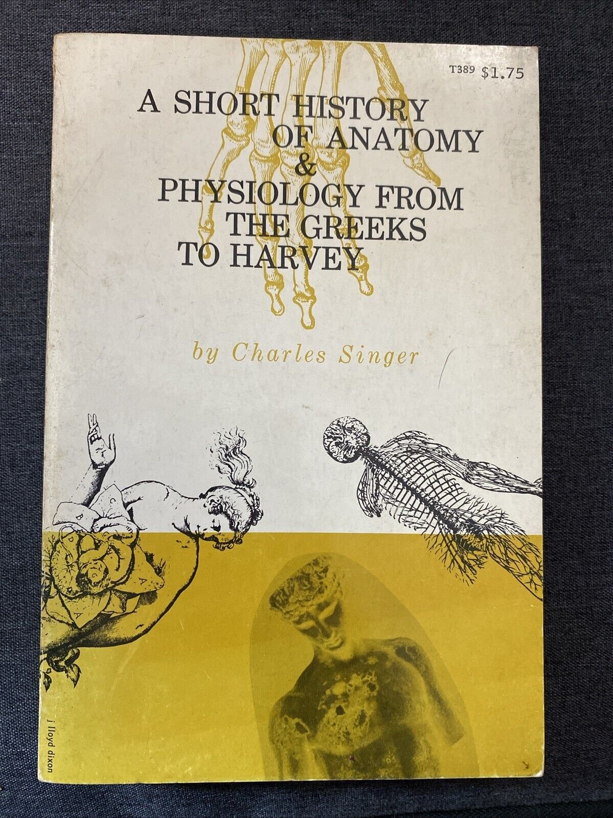 A Short History Of Anatomy & Physiology From The Greeks To Harvey